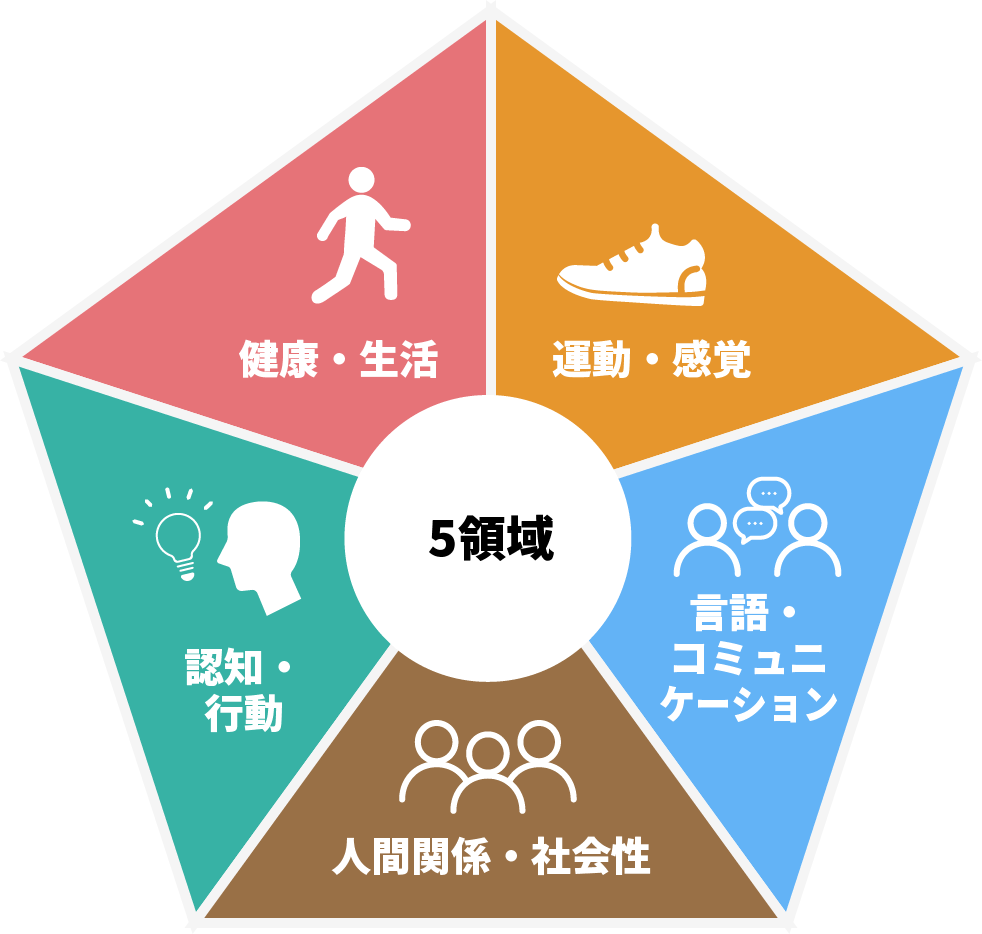 5領域の概要図